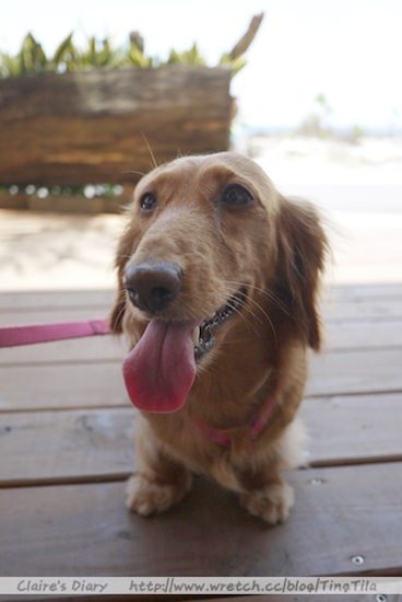 20251024-frao9 20251024-frao9