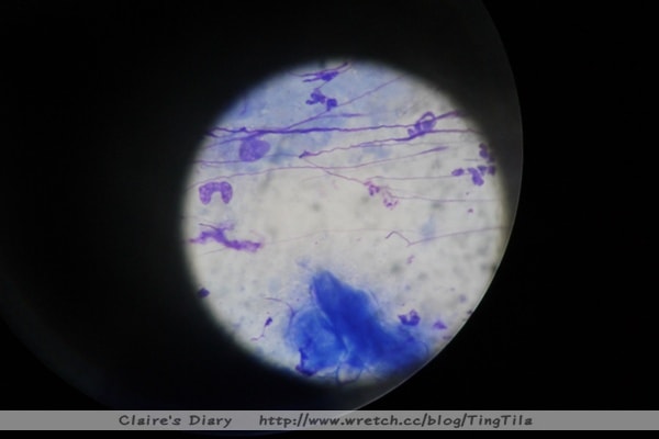 20251024-gxihm 20251024-gxihm