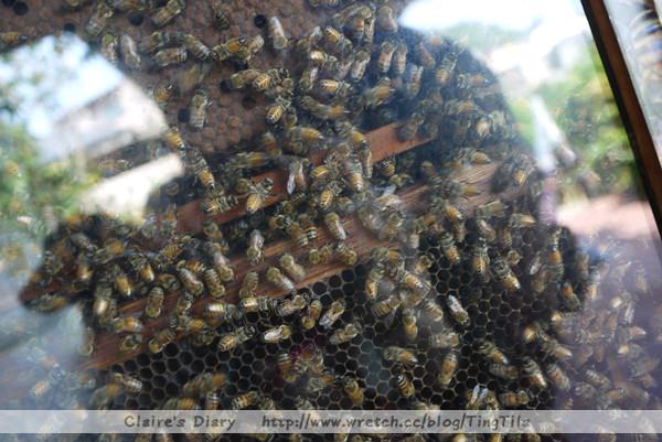 20251024-j8uyn 20251024-j8uyn