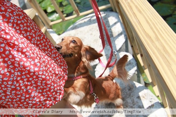 20251024-lz0uh 20251024-lz0uh