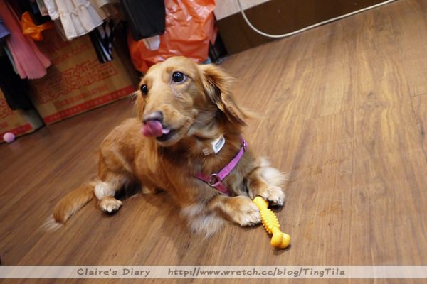 20251024-o50zv 20251024-o50zv