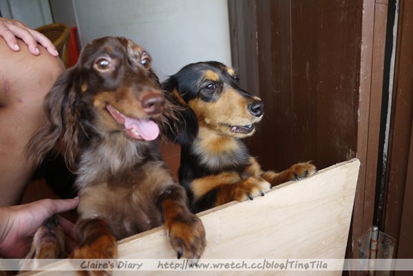 20251024-p3460 20251024-p3460