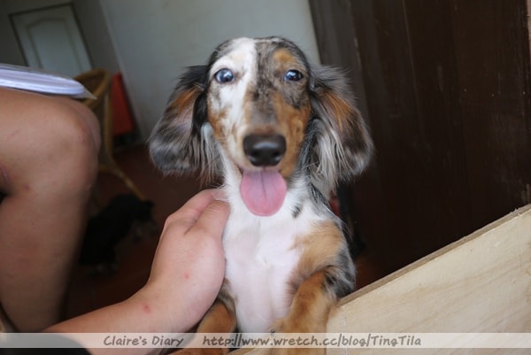 20251024-thgjh 20251024-thgjh