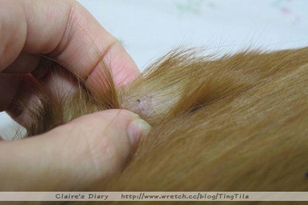 20251024-u9g0d 20251024-u9g0d