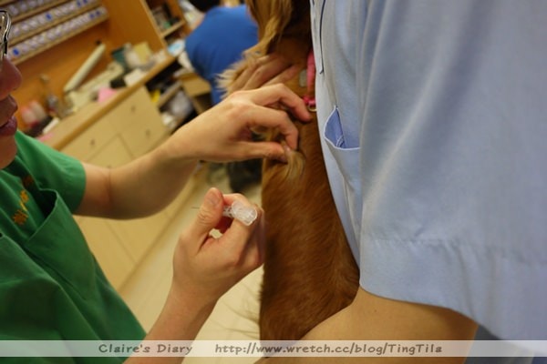 20251024-w4jeo 20251024-w4jeo