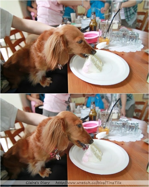 20251024-15p0g 20251024-15p0g