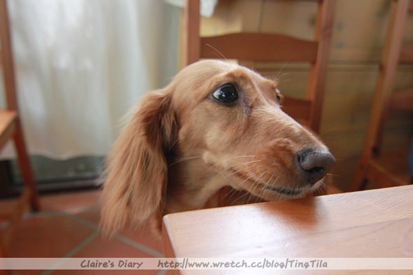 20251024-2cdmr 20251024-2cdmr