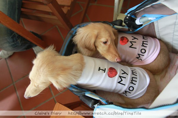 20251024-3ju6k 20251024-3ju6k