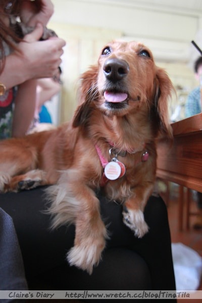 20251024-3lmqo 20251024-3lmqo