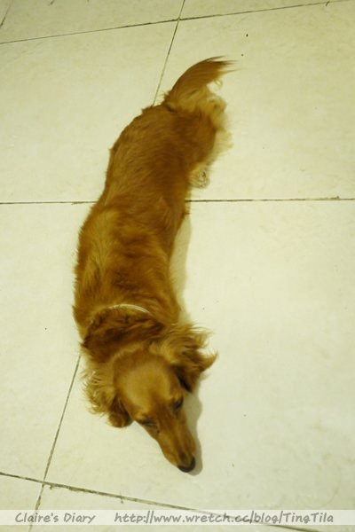 20251024-4pkrw 20251024-4pkrw