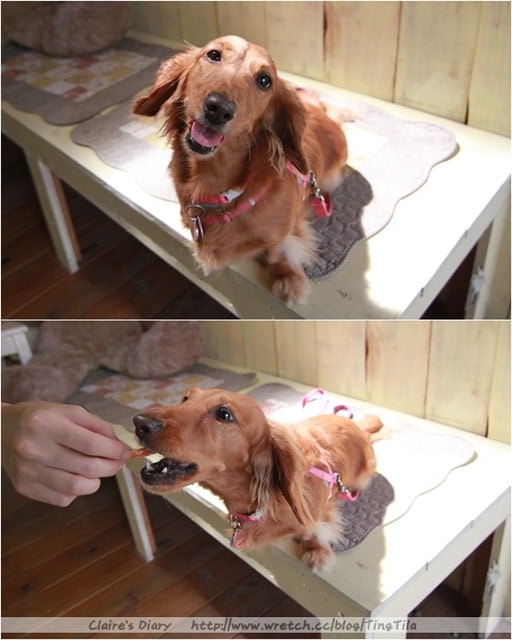 20251024-5v0du 20251024-5v0du