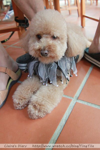 20251024-6svf3 20251024-6svf3