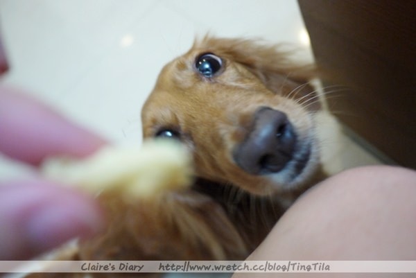 20251024-7s7ve 20251024-7s7ve