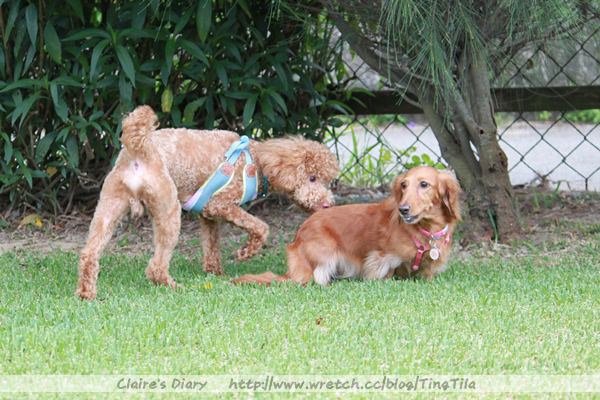 20251024-861hu 20251024-861hu