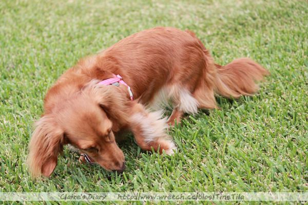 20251024-b1h7h 20251024-b1h7h