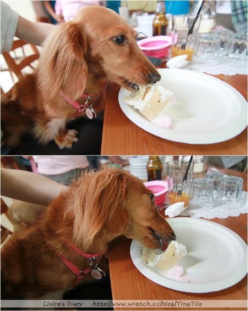 20251024-bimh5 20251024-bimh5