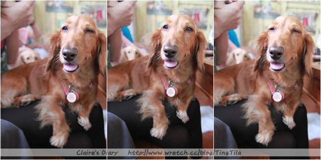 20251024-bodfj 20251024-bodfj