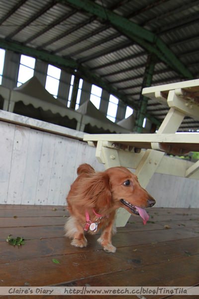 20251024-duka1 20251024-duka1