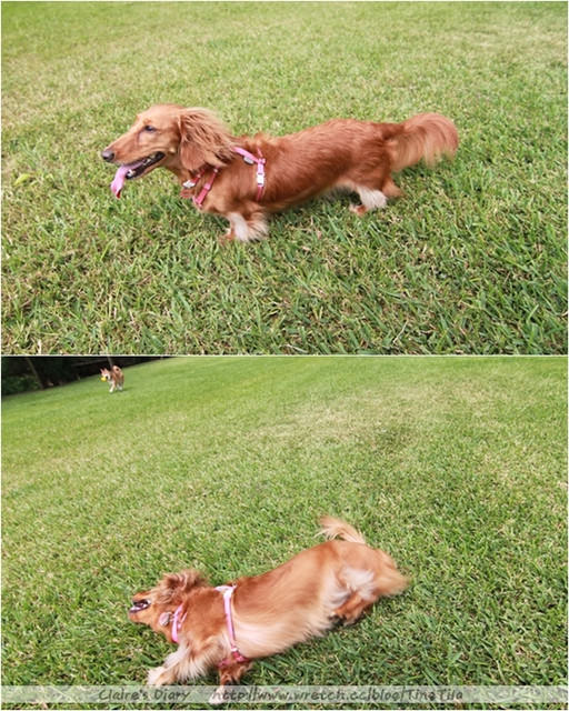 20251024-gjml5 20251024-gjml5