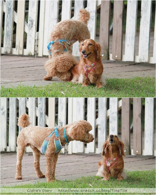 20251024-j8vz0 20251024-j8vz0