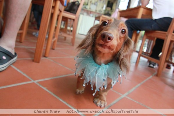 20251024-l78i3 20251024-l78i3