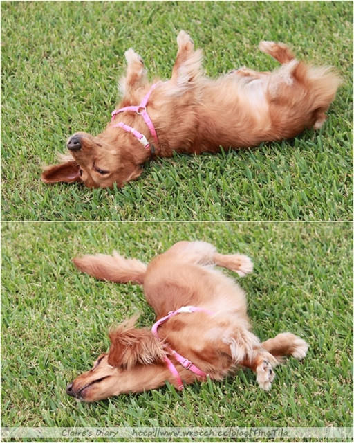 20251024-lj4b0 20251024-lj4b0