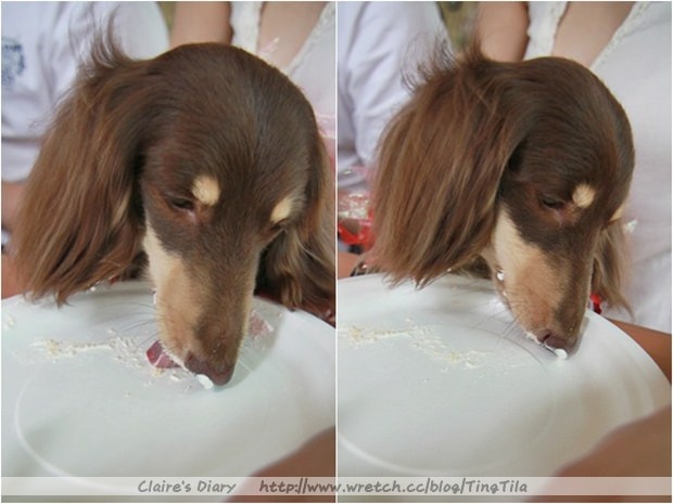 20251024-msxdw 20251024-msxdw