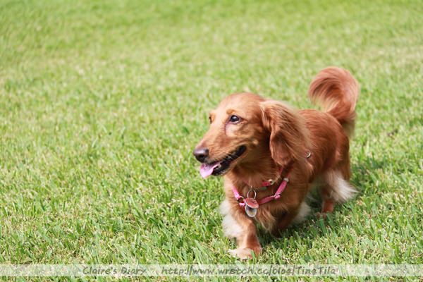 20251024-pp4d6 20251024-pp4d6