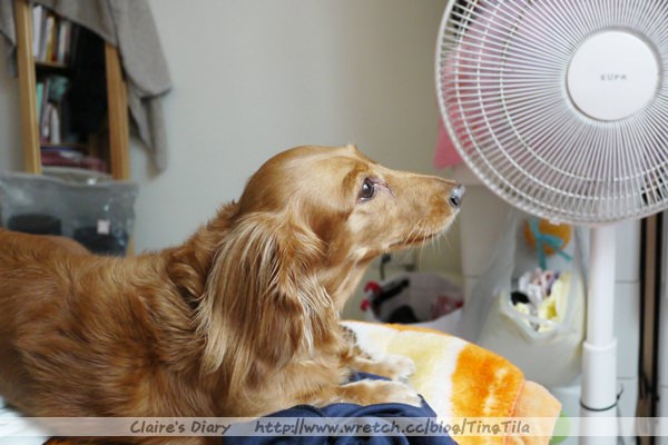 20251024-r2yey 20251024-r2yey