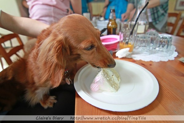 20251024-t9p8j 20251024-t9p8j