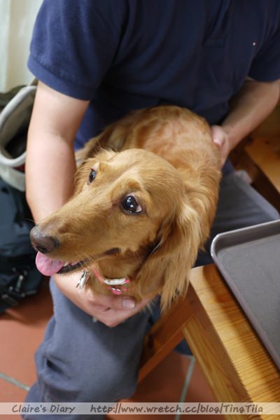 20251024-wcoaq 20251024-wcoaq