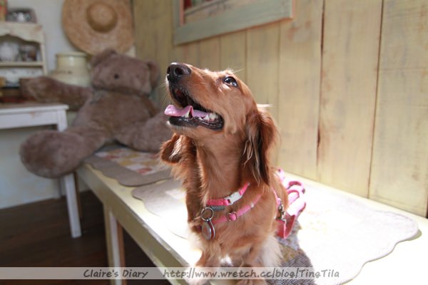 20251024-x8r9u 20251024-x8r9u