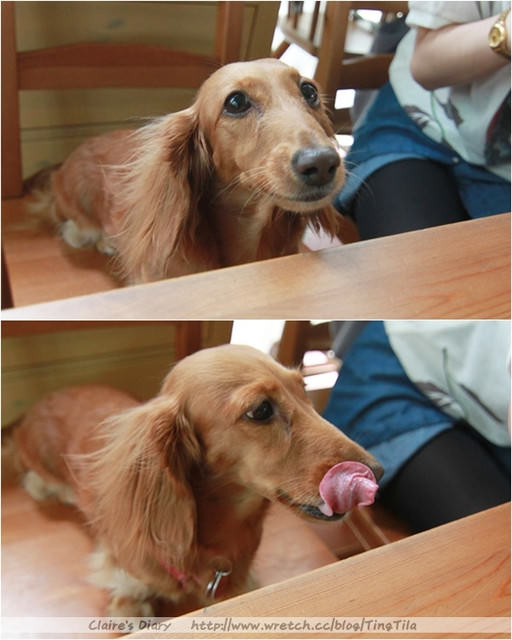 20251024-ylvtb 20251024-ylvtb