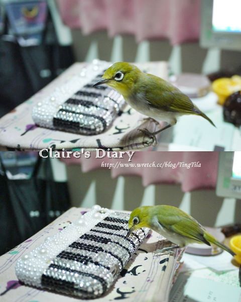 20251024-0596k 20251024-0596k