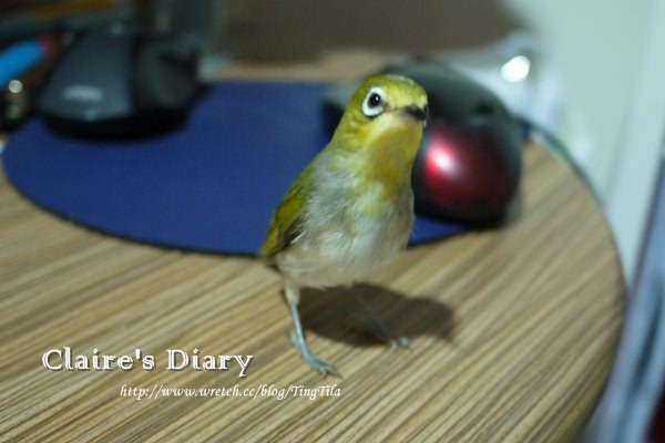 20251024-14y8h 20251024-14y8h