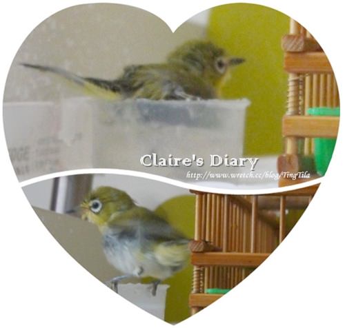 20251024-1pfmk 20251024-1pfmk