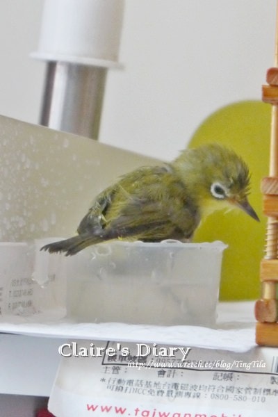 20251024-2nbot 20251024-2nbot