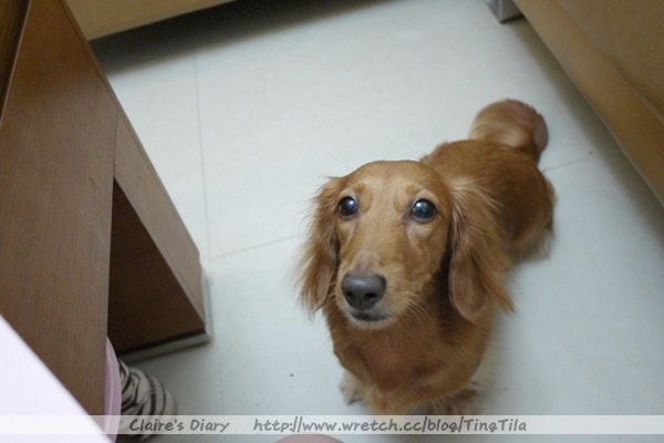 20251024-5lert 20251024-5lert