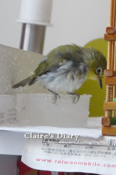 20251024-7egll 20251024-7egll