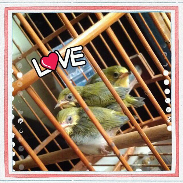 20251024-8qty6 20251024-8qty6