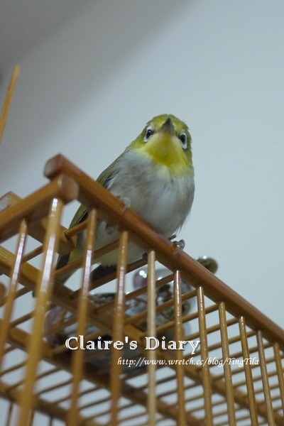 20251024-db5c9 20251024-db5c9