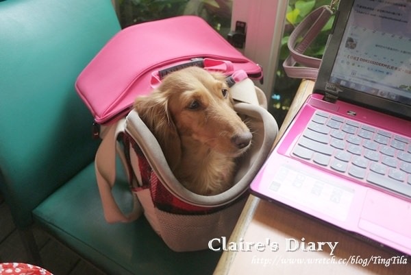 20251024-ef5yz 20251024-ef5yz