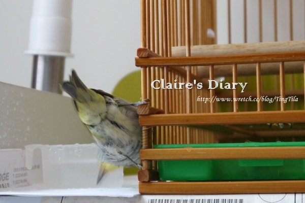 20251024-eyoxd 20251024-eyoxd