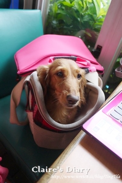 20251024-fwzod 20251024-fwzod