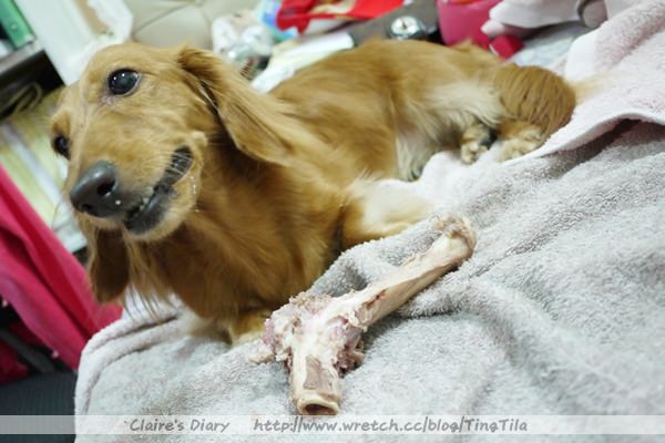 20251024-fx6h8 20251024-fx6h8