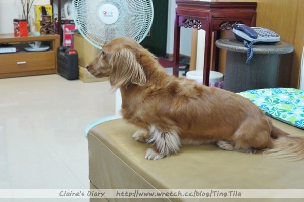 20251024-gy7ds 20251024-gy7ds