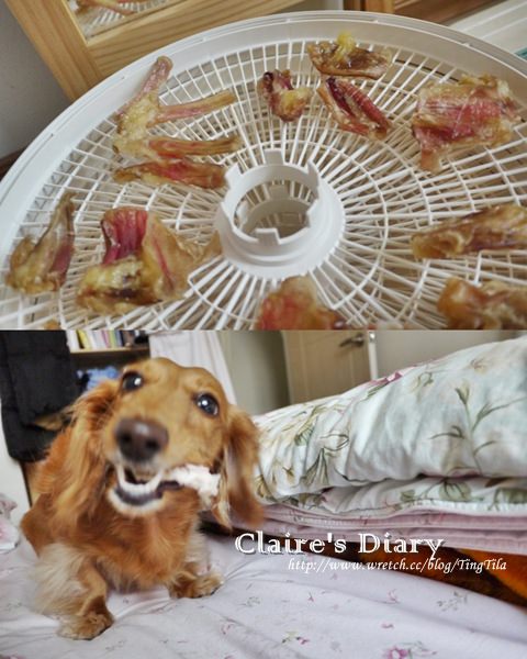 20251024-iffi5 20251024-iffi5