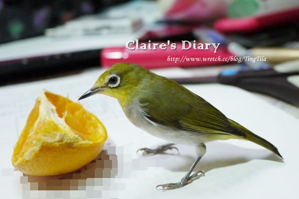 20251024-it66b 20251024-it66b