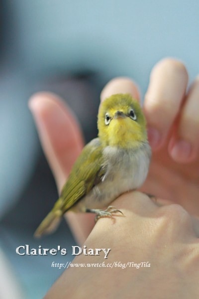 20251024-jlsu4 20251024-jlsu4