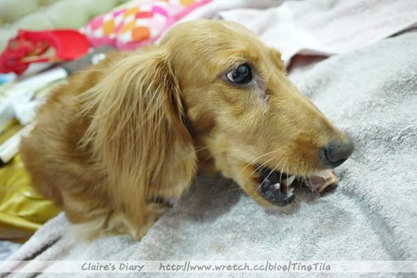 20251024-jx94h 20251024-jx94h